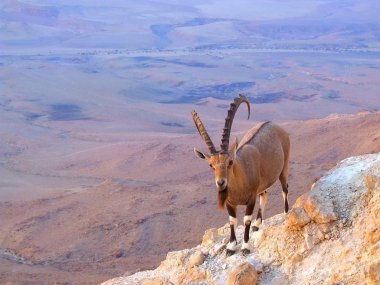 üzerinde ayağa Ramon'a krater