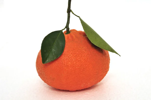 Mandarin med gren — Stockfoto