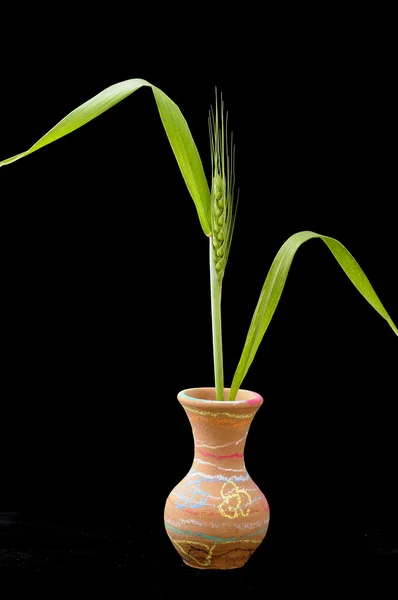Vaso de argila vermelha com espigueta — Fotografia de Stock
