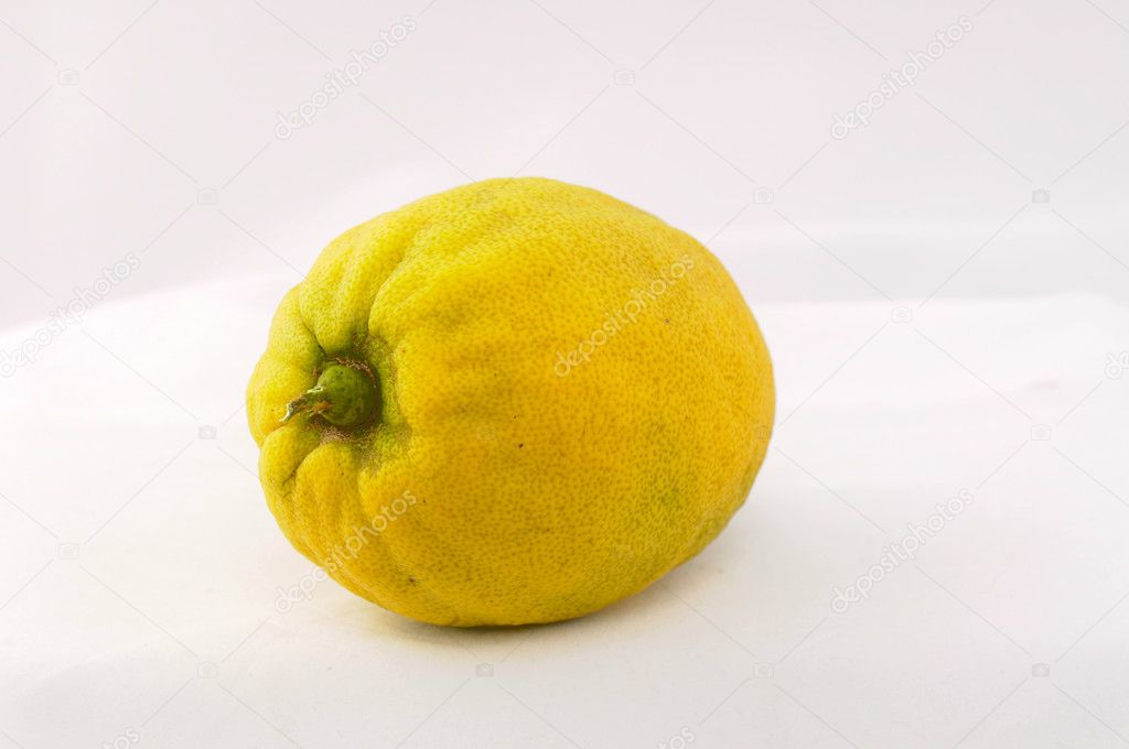 Etrog  