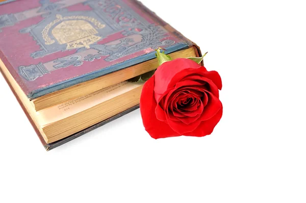 Velmi stará kniha s růží. — Stock fotografie