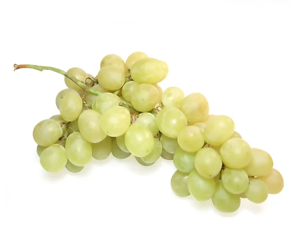 Гроздь винограда. — стоковое фото