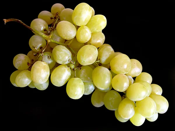 Grappolo d'uva. — Foto Stock