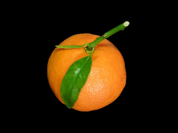 Mandarine. — Stockfoto