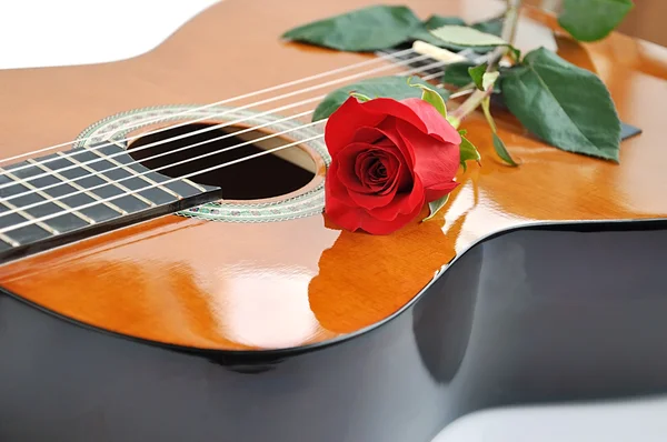 Guitar and rose. Stock Photo