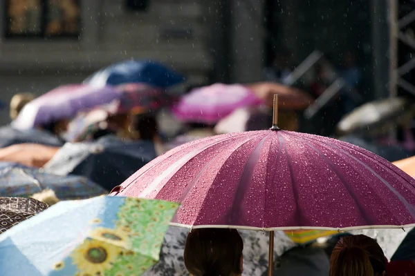 Foule d'avec des parapluies — Photo