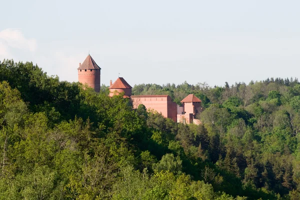 stock image Turaida Castle