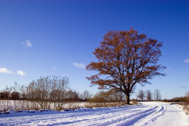 Winter country road clipart