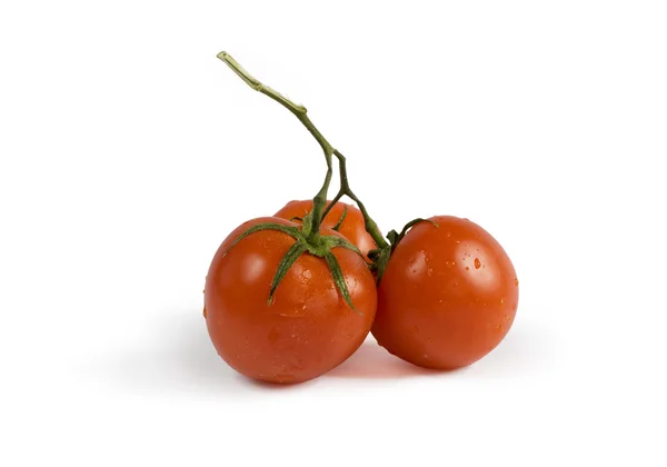 Drei rote Tomaten mit Schatten — Stockfoto
