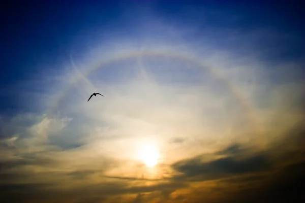 Arco-íris ao redor do sol — Fotografia de Stock
