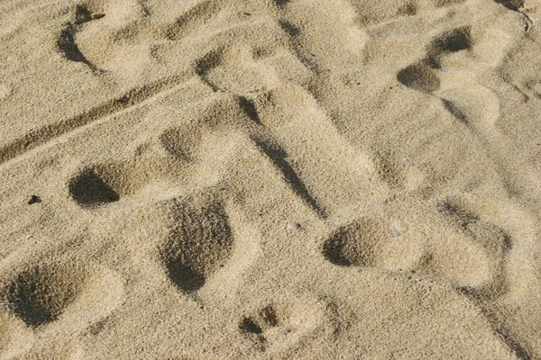 Voetafdrukken in het zand. — Stockfoto