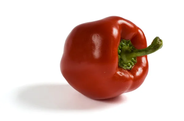 Roter Paprika auf weißem Hintergrund — Stockfoto