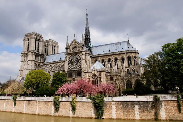 巴黎圣母院 — 图库照片