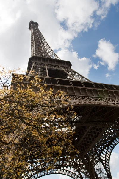 파리 — 스톡 사진