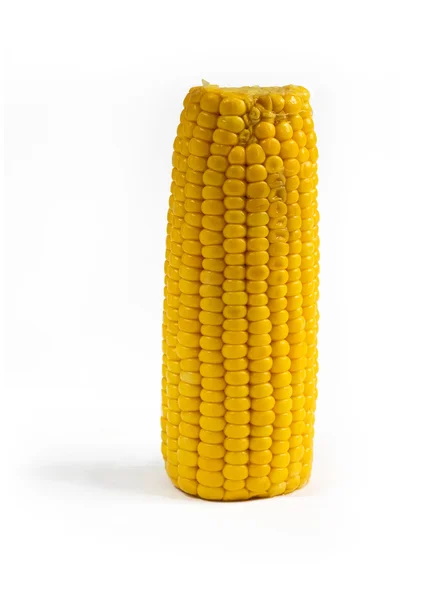 Corn cob on a white background — Stock Photo, Image