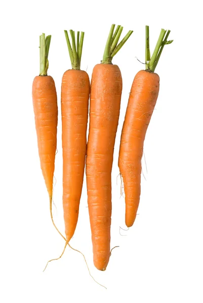 stock image Fresh carrots on white