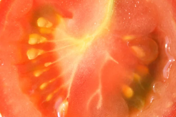 Detail rajče — Stock fotografie
