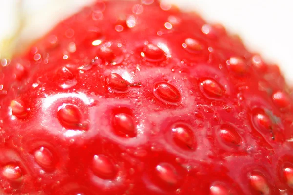 Erdbeer-Hintergrund — Stockfoto