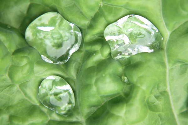 Water drops in green — Stock Photo, Image
