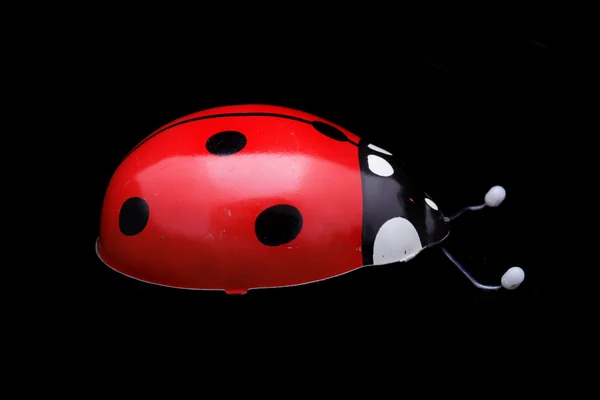 Mainan Ladybug — Stok Foto