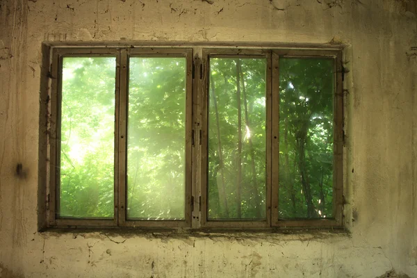 Jendela lama — Stok Foto