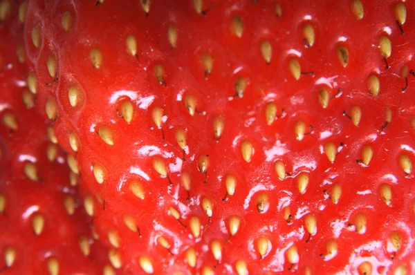 Strawbery arka plan — Stok fotoğraf