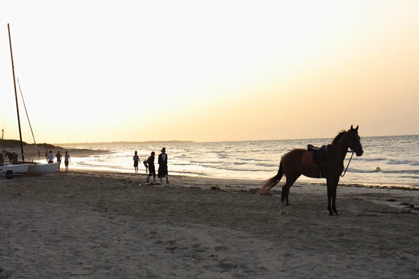 Beach in Tunisia — Stock Photo, Image