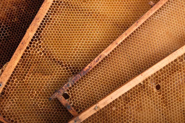 Honey textury — Stock fotografie
