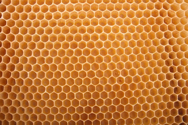 Honung texture — Stockfoto