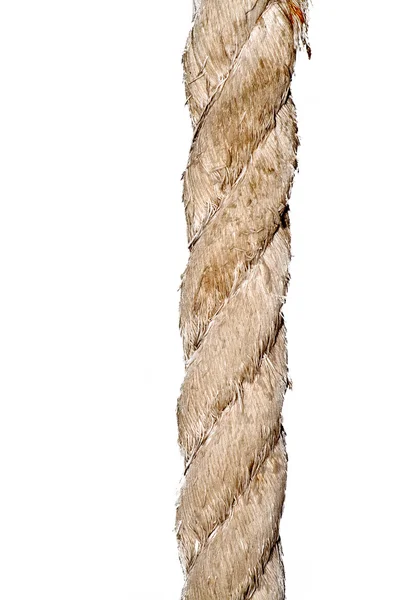 大きなロープ — ストック写真