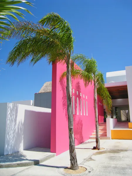 Tropical Resort Spa Ingresso con palma — Foto Stock