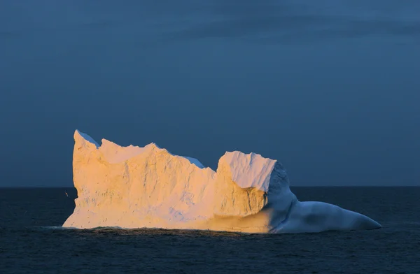 떠있는 빙산 — 스톡 사진