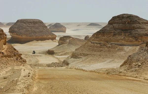 Paesaggio desertico — Foto Stock