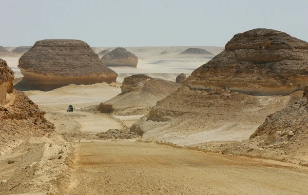 砂漠の風景 ストック写真