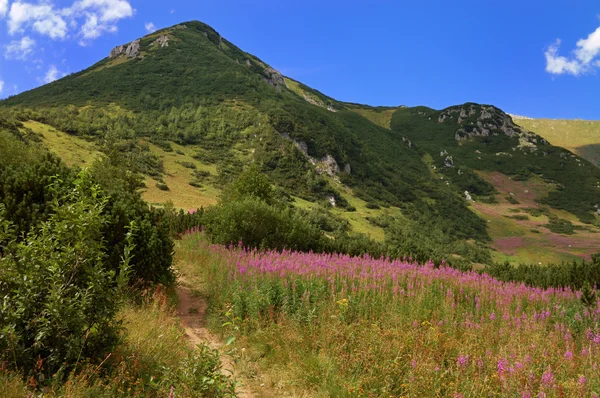 Stock image High Tatras