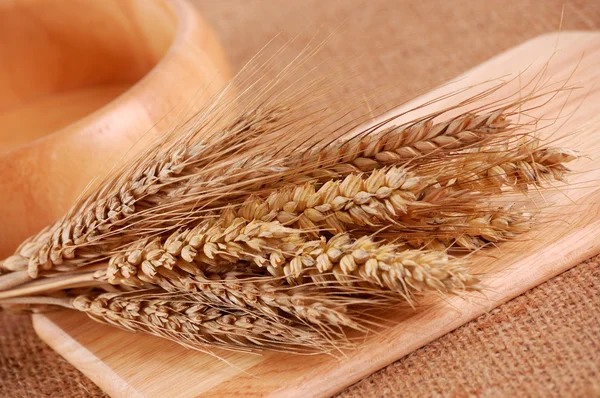 Пшеница с отделкой — стоковое фото