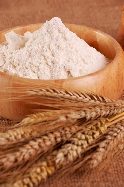 Flour with ear of wheat — Stock Photo, Image