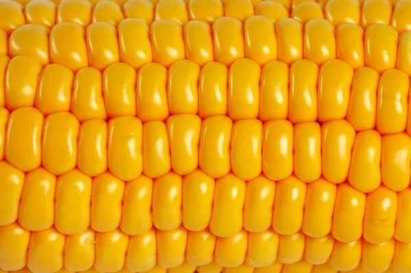 Detail van maïs — Stockfoto