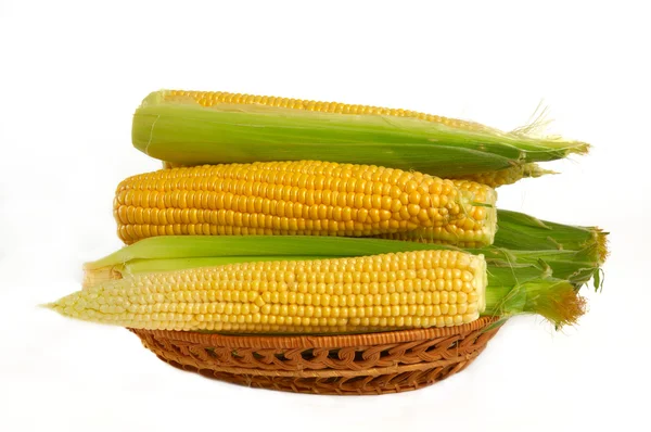 Kukorica a fehér háttér — Stock Fotó