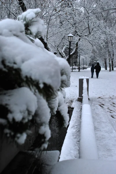 stock image Winter walk