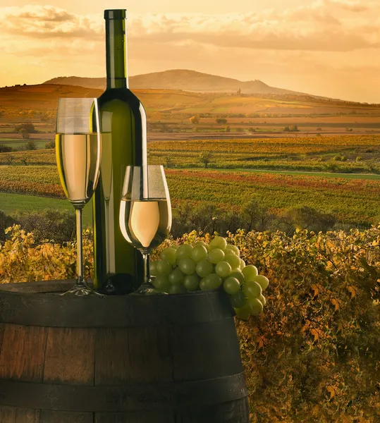 Şarap ile natürmort — Stok fotoğraf