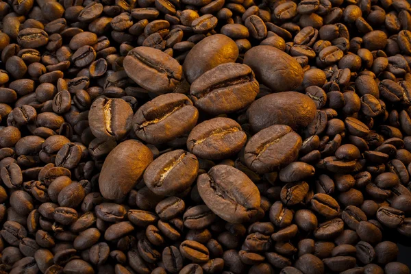 Frijol de café —  Fotos de Stock