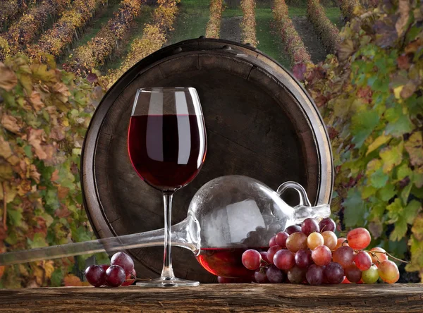 Stilleven met rode wijn — Stockfoto