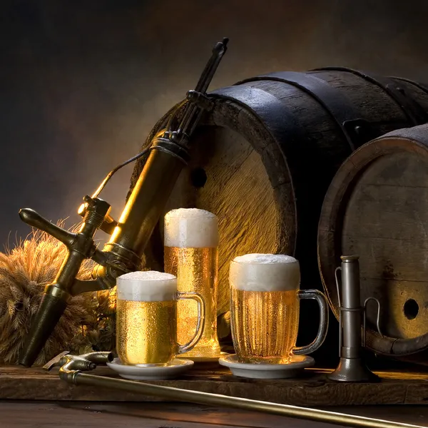 El bodegón con cerveza Imagen de archivo