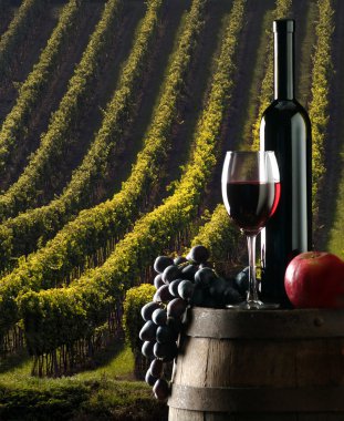 The rewine with vineyard on background clipart