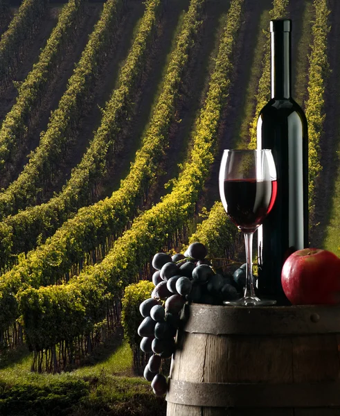 El vino de fondo con viñedo — Foto de Stock