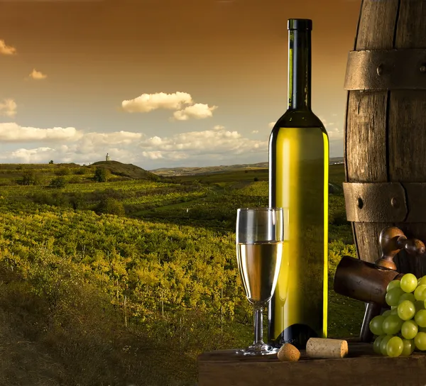 Il vino con vigneto sullo sfondo — Foto Stock