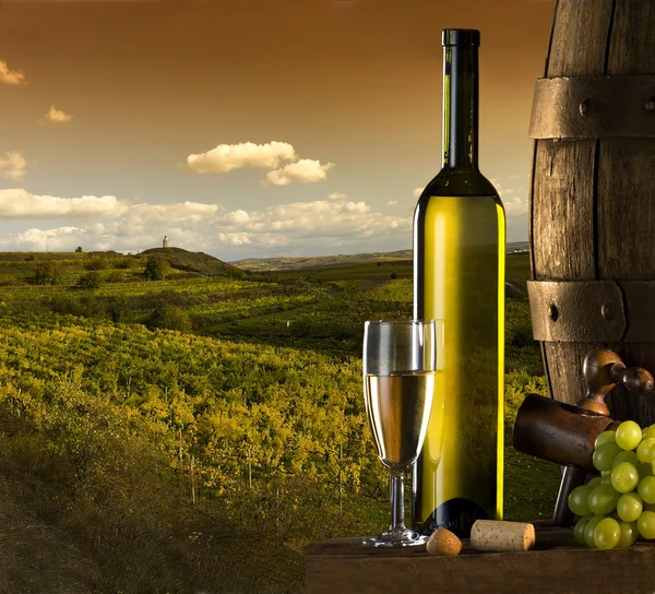 背景にぶどう畑とワイン ストック写真