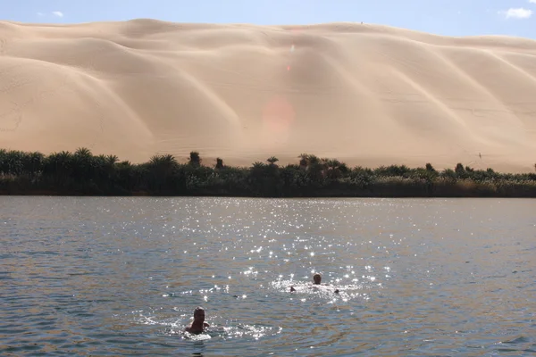 塩辛い湖、砂漠 — ストック写真