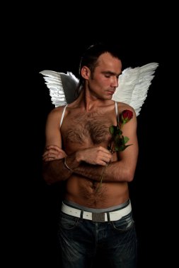 Man with rose and wings clipart